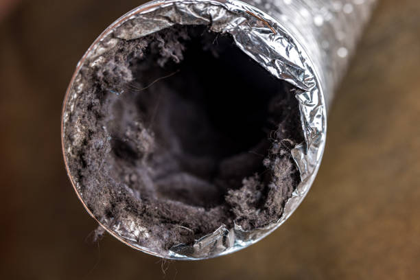 Best Local Air Duct Cleaning Services  in Yarrow Point, WA